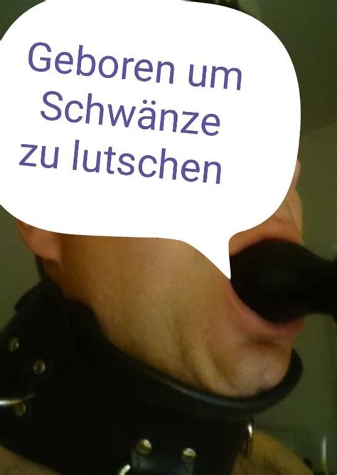 schwänze lutschen|Porno in HD zu Schwanz Lutschen